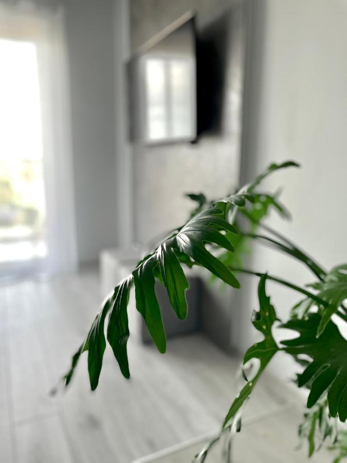 Ach, To Tu- Apartament Łańcut Εξωτερικό φωτογραφία
